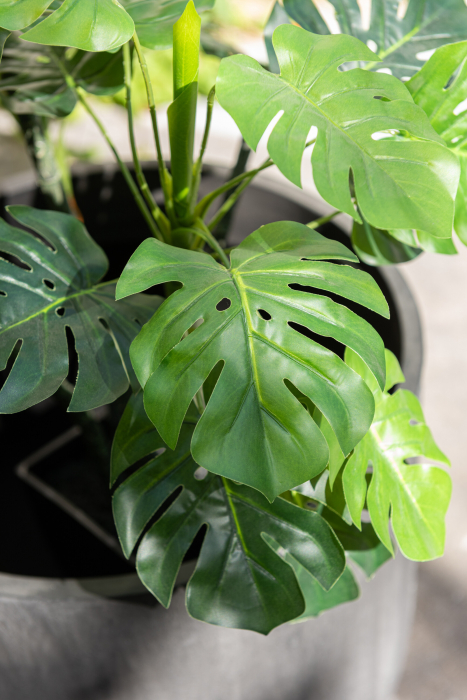 Ginseng artificial, Textil, Verde, 38x30x120 cm [6]