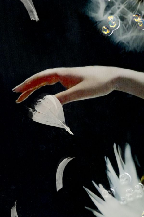 Imprimeu pe panza cu rama, Dans -b- cm 72x4x102 [3]