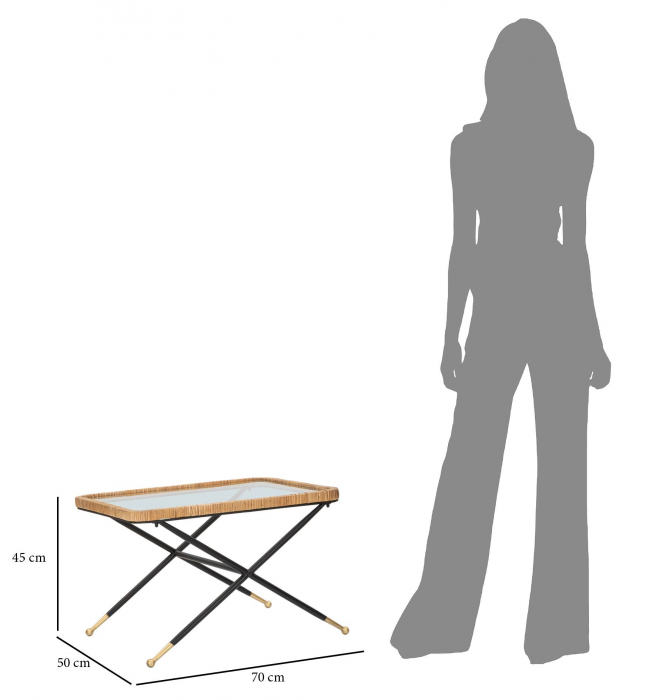 Masuta Saint Barth, Fier/Sticla/Rattan, Multicolor, 45x70x50 cm [3]