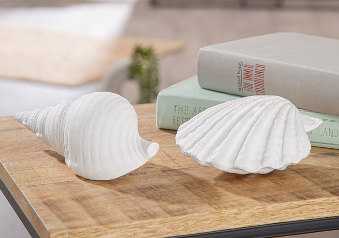 Obiect de decor, Shell, Vintage, Poly, alb, PU 12, 2 buc. asortate, L. 7 cm, L. 19 cm, H. 6 cm [5]
