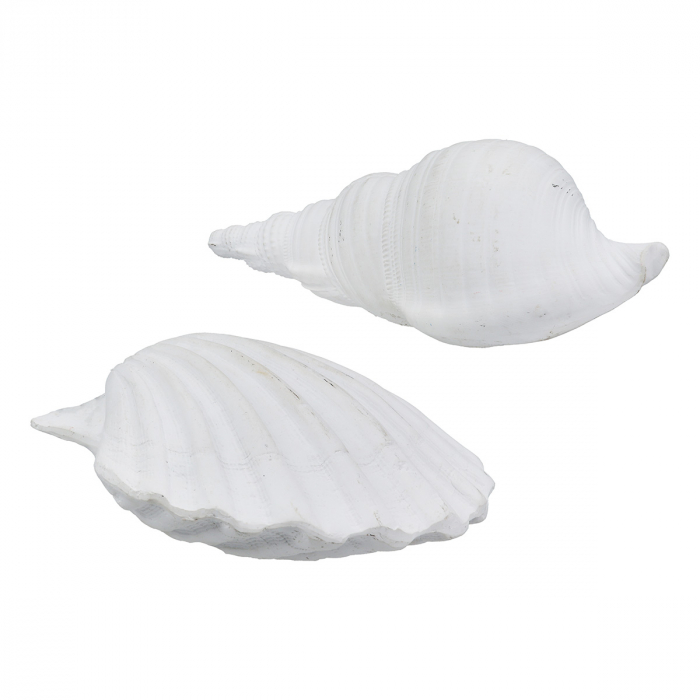 Obiect de decor, Shell, Vintage, Poly, alb, PU 12, 2 buc. asortate, L. 7 cm, L. 19 cm, H. 6 cm [1]