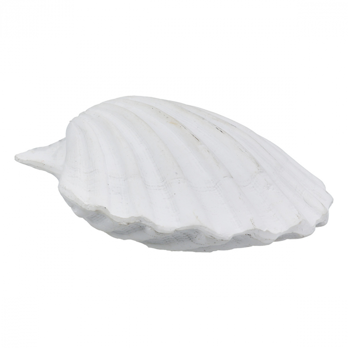 Obiect de decor, Shell, Vintage, Poly, alb, PU 12, 2 buc. asortate, L. 7 cm, L. 19 cm, H. 6 cm [3]