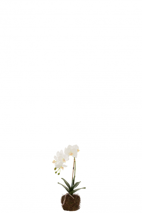 Orhidee artificiala, Textil, Alb, 23x17x40 cm [2]