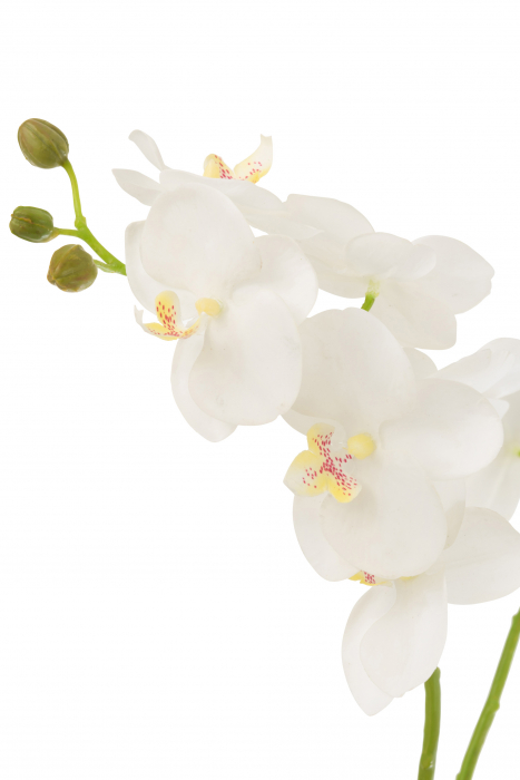 Orhidee artificiala, Textil, Alb, 30x15x52 cm [2]