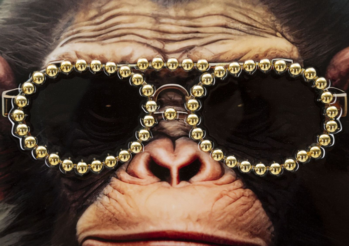 Pictură lăcuită pe pânză, MONKY ramă inclusă 52,5x2,8x72,5 cm [3]