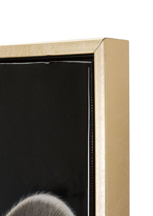 Pictură pe pânză lăcuită, BULLY -a- ramă inclusă 42,5x2,8x82,5 cm [4]