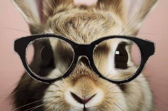 Pictură pe pânză lăcuită, BUNNY ramă inclusă 62,5x2,8x62,5 cm [3]