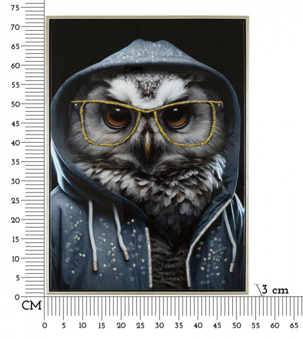 Pictură pe pânză lăcuită, EDVY ramă inclusă 53x3x73 cm [7]