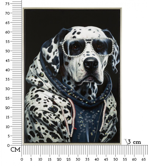 Pictură pe pânză lăcuită, EDVY ramă inclusă 53x3x73 cm [7]