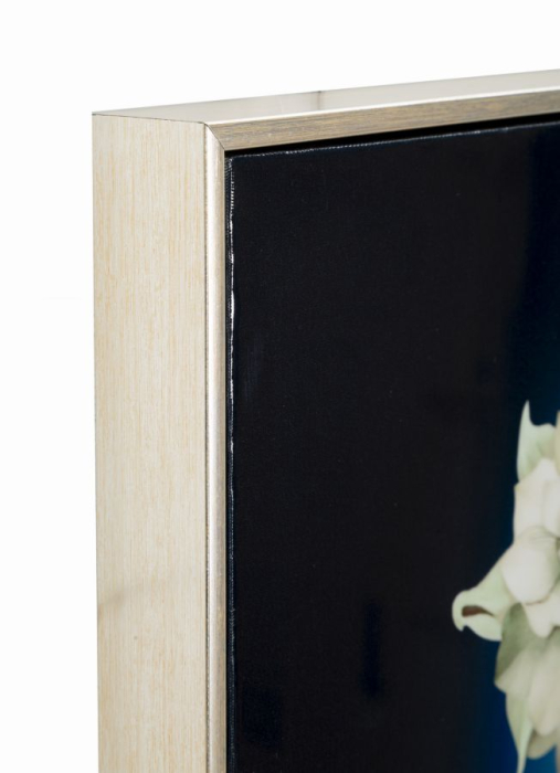 Pictura pe pânza lacuita Isabel cu Rama, -b- cm 72x4x102 [3]