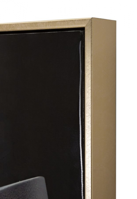 Pictură pe pânză lăcuită, WIEN hat -b- ramă inclusă 62x4x92 cm [3]