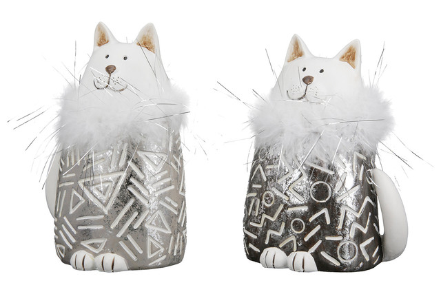 Pisica, rasina Boa Set 2 [2]