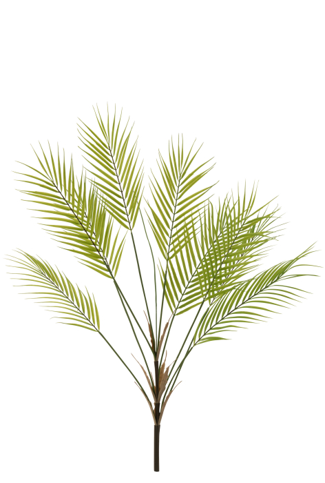 Planta artificiala, FERN [2]