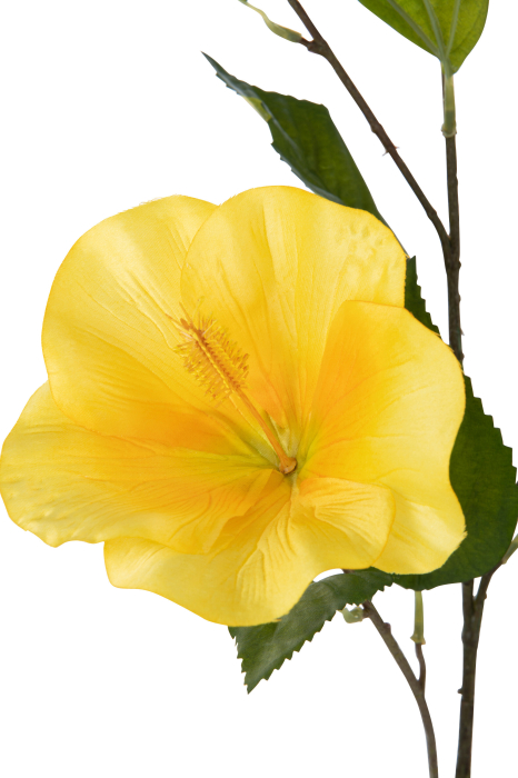 Planta artificiala, HIBISCUS [3]