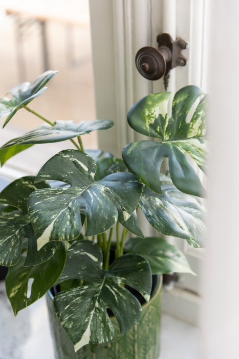 Planta artificiala, MONSTERA [3]