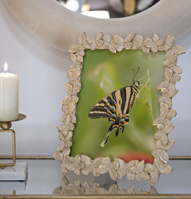 Rama, fluture aurie cm 27,5x2,6x32,5 (dimensiune interna cm 20x25) [5]