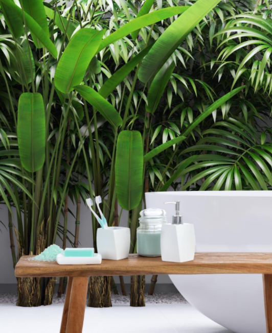 Savoniera Quarzo, Rasina, Alb, 12x9x2.5 cm [2]