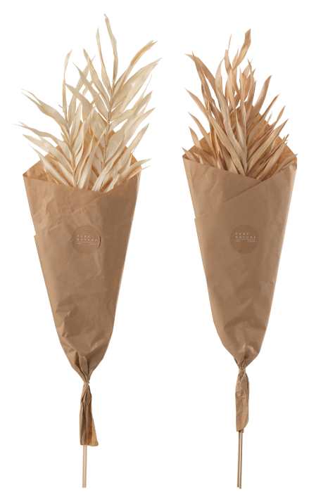 Set 2 buc plante uscate, Fibre naturale, Natural, 20x2x95 [2]