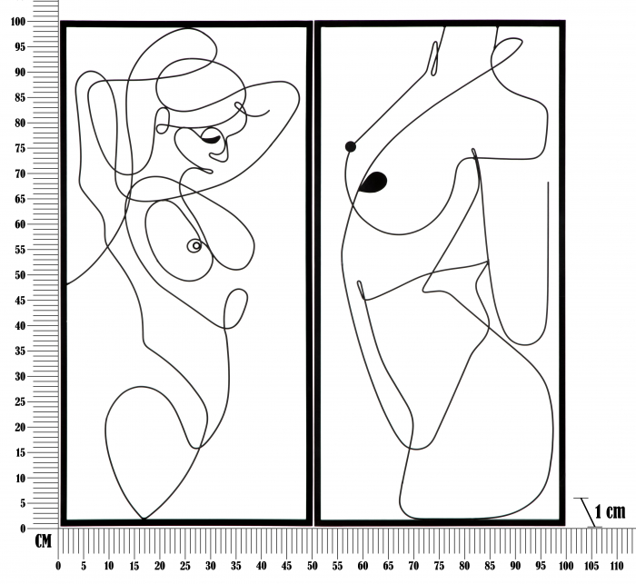 Set 2 decoratiuni pentru perete Body Simply, Fier, Negru, 100x50x1 cm [6]