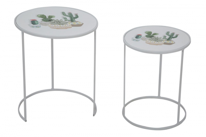Set 2 masute CACTUS (cm) Ø 39,5X49-31X42,5 [4]