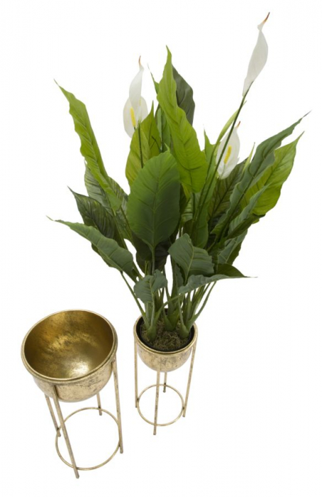 Set 2 suporturi de flori COPPIA (cm) Ø 27X62-21,5X52 [3]