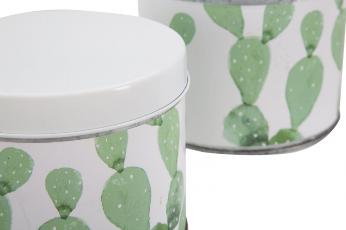Set 3 cutii Cactus, fier, alb/verde, 15X13.5-14X11.5-12.5X10 cm [5]