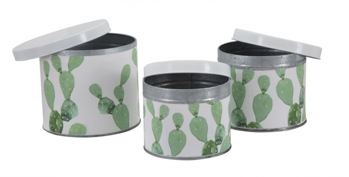 Set 3 cutii Cactus, fier, alb/verde, 15X13.5-14X11.5-12.5X10 cm [7]