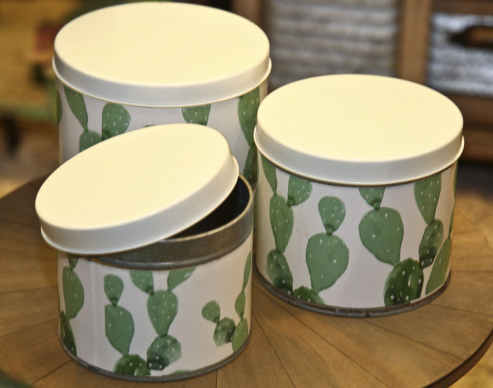 Set 3 cutii Cactus, fier, alb/verde, 15X13.5-14X11.5-12.5X10 cm [8]