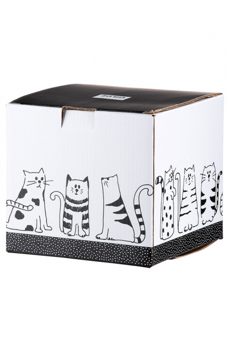 Set ceai pentru o persoana, FUNNY CAT, 16X14 cm [4]