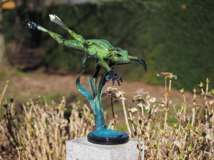 Statuie bronz, Broască săritoare (în jos) [5]