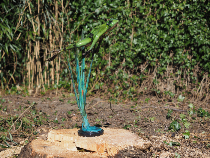 Statuie bronz, Broască săritoare (în sus) [4]