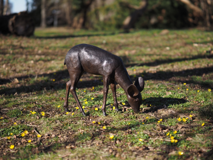 Statuie bronz, Căprioară pășunând [5]