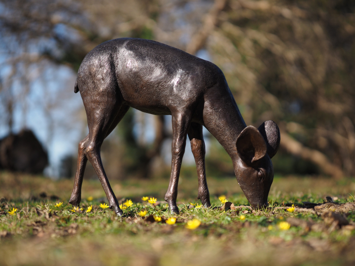 Statuie bronz, Căprioară pășunând [8]