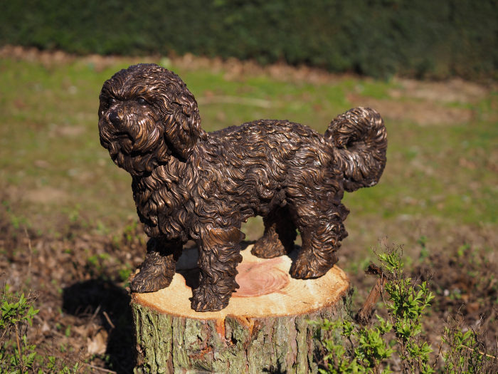 Statuie bronz, Cățeluș Labradoodle [4]