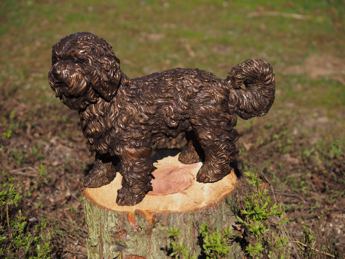 Statuie bronz, Cățeluș Labradoodle [3]