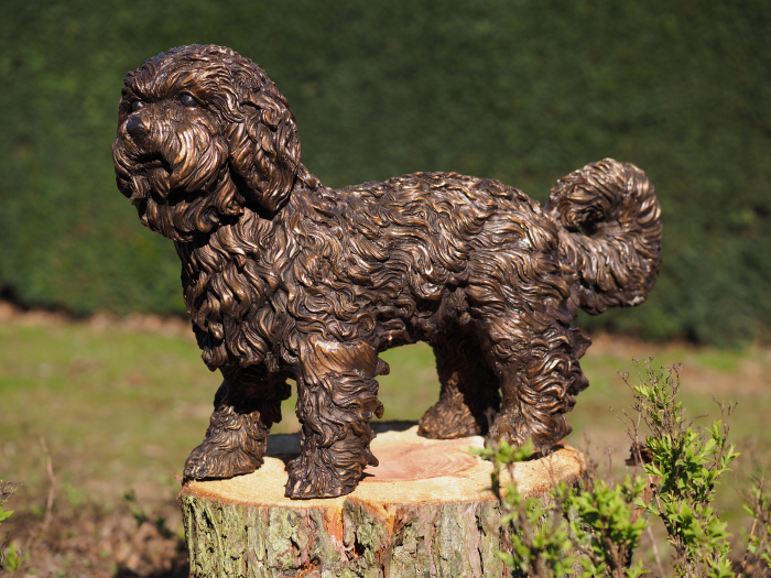 Statuie bronz, Cățeluș Labradoodle [2]