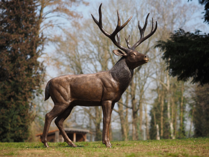 Statuie bronz, Cerb [5]