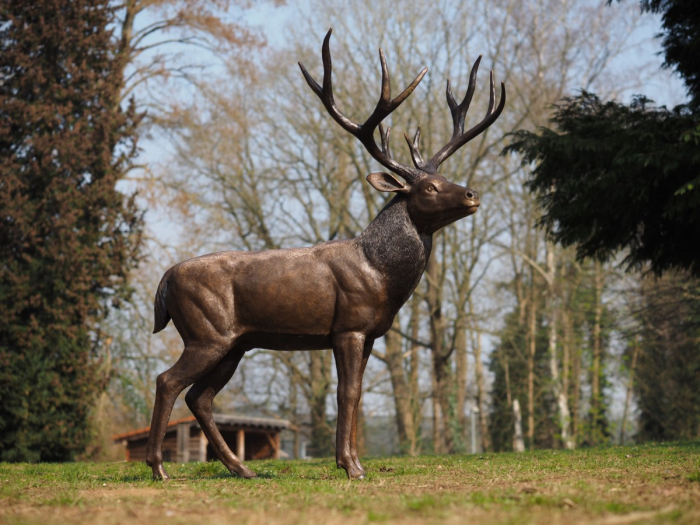 Statuie bronz, Cerb [3]