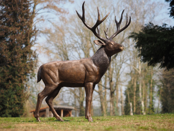 Statuie bronz, Cerb [6]