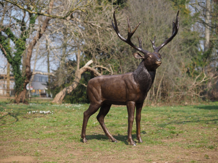 Statuie bronz, Cerb [4]