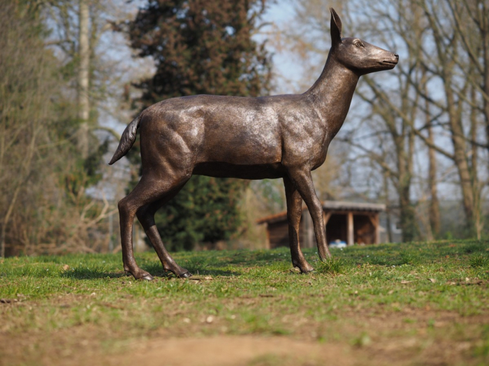 Statuie bronz, Cerb femelă [4]