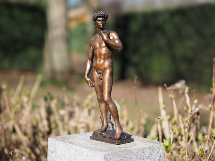 Statuie bronz, David de Shelangelo 40cm 0 x 0 x 0 cm [3]