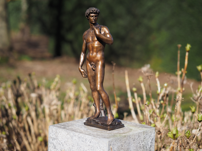 Statuie bronz, David de Shelangelo 40cm 0 x 0 x 0 cm [2]
