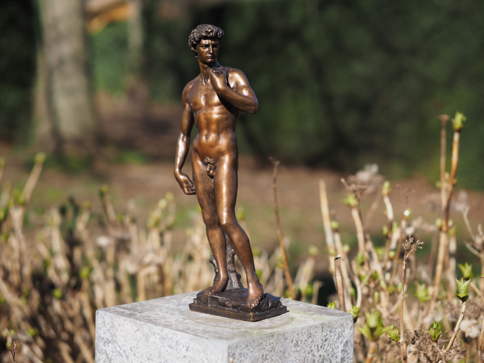 Statuie bronz, David de Shelangelo 40cm 0 x 0 x 0 cm [5]
