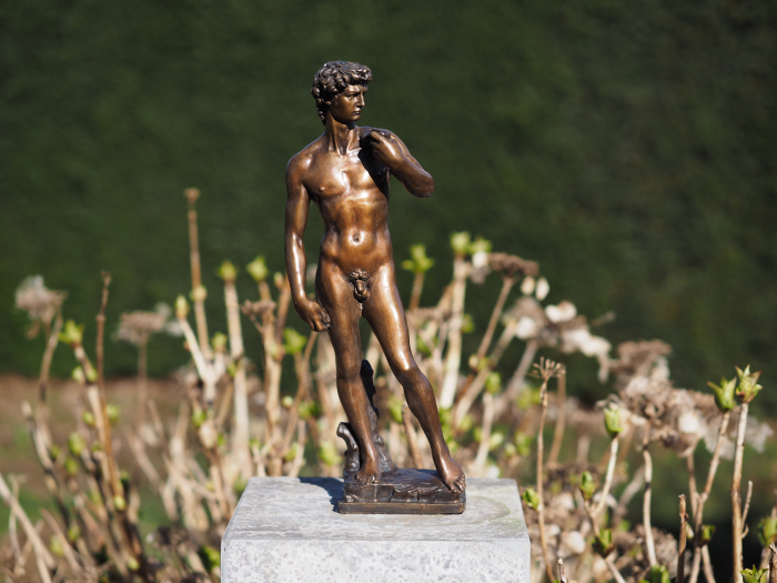 Statuie bronz, David de Shelangelo 40cm 0 x 0 x 0 cm [6]