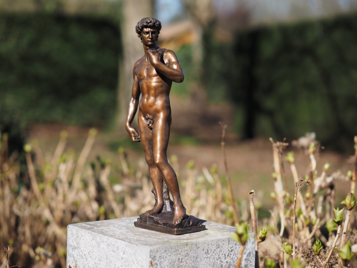 Statuie bronz, David de Shelangelo 40cm 0 x 0 x 0 cm [4]