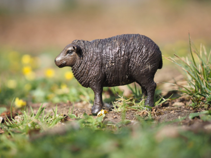 Statuie bronz, Oaie 9 x 6 x 13 cm [4]