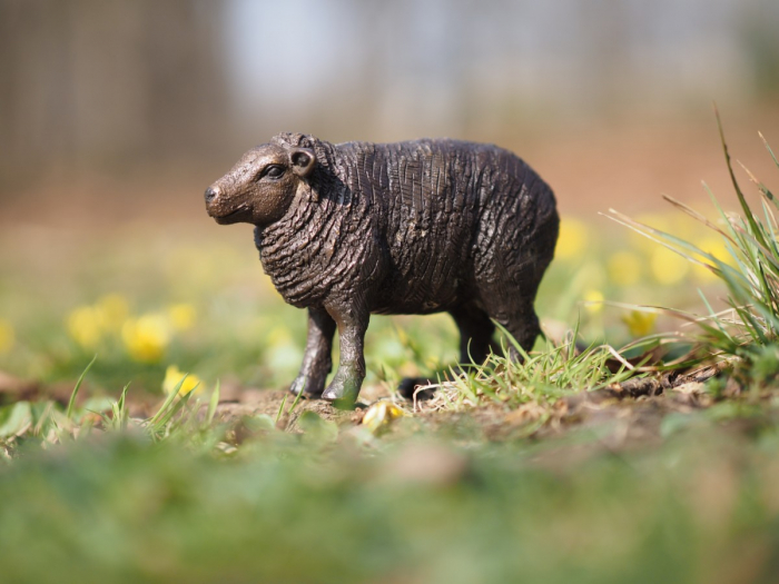 Statuie bronz, Oaie 9 x 6 x 13 cm [5]