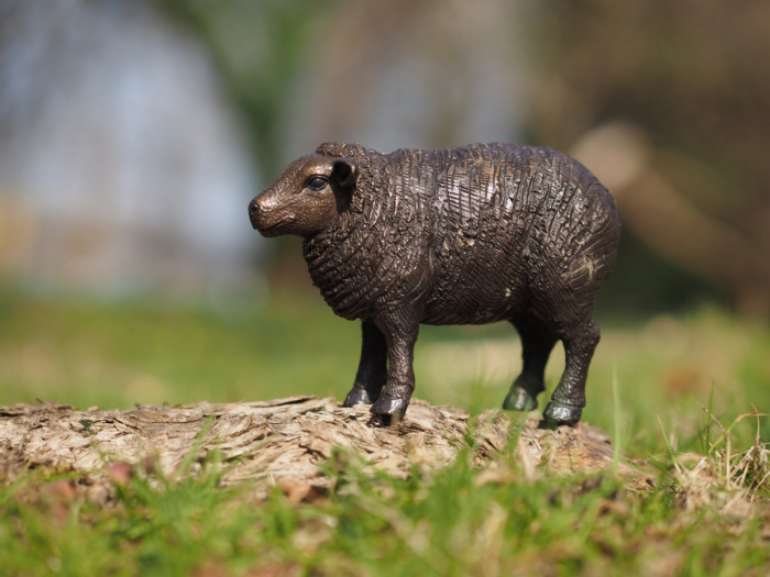 Statuie bronz, Oaie 9 x 6 x 13 cm [2]