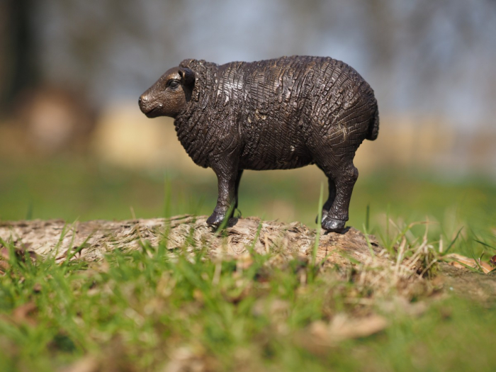 Statuie bronz, Oaie 9 x 6 x 13 cm [3]